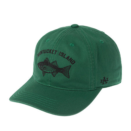 Бейсболка AMERICAN NEEDLE арт. SMU702A-NANTU Nantucket Hepcat (зеленый)