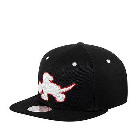 Бейсболка MITCHELL NESS арт. 6HSSMM20253-TRABLCK Toronto Raptors NBA (черный)