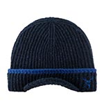 Шапка STETSON арт. 8599379 BEANIE DEER (синий)