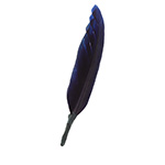 Перо STETSON арт. 9999928 FEATHER (черный / красный / зеленый)
