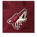 Бейсболка AMERICAN NEEDLE арт. 40742A-PCO Arizona Coyotes Blue Line NHL (малиновый)