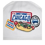 Бейсболка AMERICAN NEEDLE арт. 43910A-CHGO City of Chicago Iconic (белый)