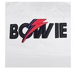 Бейсболка AMERICAN NEEDLE арт. 20001B-BOWI Bowie Ballpark (белый)