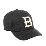 Бейсболка AMERICAN NEEDLE арт. 21005A-BRG Brooklyn Royal Giants Archive Legend NL (черный)