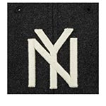 Бейсболка AMERICAN NEEDLE арт. 21005A-NBY New York Black Yankees Archive Legend NL (черный)