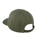 Бейсболка AMERICAN NEEDLE арт. 20001C-SBEAR Smokey Bear Washed Slouch (оливковый)