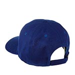 Бейсболка AMERICAN NEEDLE арт. 21005A-FWC Fort Worth Cats Archive MILB (синий)