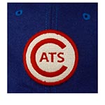 Бейсболка AMERICAN NEEDLE арт. 21005A-FWC Fort Worth Cats Archive MILB (синий)