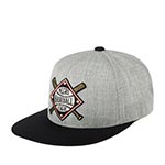 Бейсболка AMERICAN NEEDLE арт. 21006A-NLB Negro League Baseball Archive (серый / черный)