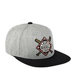 Бейсболка AMERICAN NEEDLE арт. 21006A-NLB Negro League Baseball Archive (серый / черный)