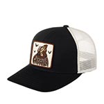 Бейсболка AMERICAN NEEDLE арт. 22005A-CCHOC Count Chocula Twill Valin (черный)