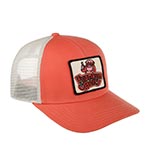 Бейсболка AMERICAN NEEDLE арт. 22005A-FBERRY Franken Berry Twill Valin (оранжевый)