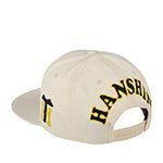Бейсболка AMERICAN NEEDLE арт. 22011A-HTI Hanshin Tigers Blockhead NPL (белый)