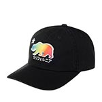 Бейсболка AMERICAN NEEDLE арт. 44860B-CALI California Prism Slouch (черный)