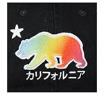 Бейсболка AMERICAN NEEDLE арт. 44860B-CALI California Prism Slouch (черный)
