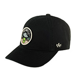 Бейсболка AMERICAN NEEDLE арт. SMU702A-ROSW Roswell Hepcat (черный)