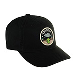 Бейсболка AMERICAN NEEDLE арт. SMU702A-ROSW Roswell Hepcat (черный)