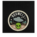 Бейсболка AMERICAN NEEDLE арт. SMU702A-ROSW Roswell Hepcat (черный)