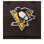 Бейсболка AMERICAN NEEDLE арт. SMU704A-PPN Pittsburgh Penguins Raglan Bones NHL (черный)
