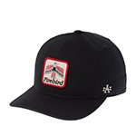 Бейсболка AMERICAN NEEDLE арт. SMU702A-FIREBIRD Firebird Hepcat (черный)
