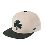 Бейсболка AMERICAN NEEDLE арт. SMU776A-BSH Boston Shamrocks Archive 400 MILB (зеленый / белый)