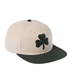 Бейсболка AMERICAN NEEDLE арт. SMU776A-BSH Boston Shamrocks Archive 400 MILB (зеленый / белый)