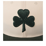 Бейсболка AMERICAN NEEDLE арт. SMU776A-BSH Boston Shamrocks Archive 400 MILB (зеленый / белый)