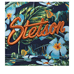 Бейсболка STETSON арт. 7741155 TRUCKER CAP HAWAII FLOWER (темно-синий / зеленый)