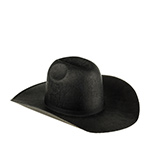 Шляпа BAILEY арт. S25BGD GREYBULL (черный)