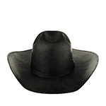 Шляпа BAILEY арт. S25BGD GREYBULL (черный)