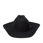 Шляпа BAILEY арт. W2501 RUDDY (черный)