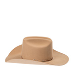 Шляпа BAILEY арт. W2602 TESCOSA (бежевый)