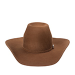 Шляпа BAILEY арт. W2605 SPUR BAIT (коричневый)