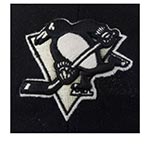 Бейсболка 47 BRAND арт. H-BRKSB15WMS-BK Pittsburgh Penguins NHL (черный)