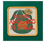 Бейсболка DJINNS арт. HFT Avo Festival (зеленый)