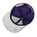 Бейсболка MITCHELL NESS арт. HHSS2991-LALYYPPPPURP Los Angeles Lakers NBA (фиолетовый)