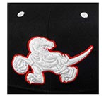 Бейсболка MITCHELL NESS арт. 6HSSMM20253-TRABLCK Toronto Raptors NBA (черный)
