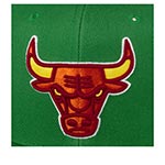 Бейсболка MITCHELL NESS арт. 6HSSSH21295-CBUGREN Chicago Bulls NBA (зеленый)