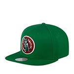 Бейсболка MITCHELL NESS арт. HHSS3258-BCEYYPPPGREN Boston Celtics NBA (зеленый)