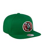 Бейсболка MITCHELL NESS арт. HHSS3258-BCEYYPPPGREN Boston Celtics NBA (зеленый)
