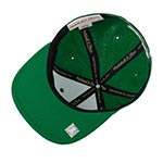 Бейсболка MITCHELL NESS арт. HHSS3258-BCEYYPPPGREN Boston Celtics NBA (зеленый)