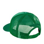 Бейсболка MITCHELL NESS арт. HHSS3467-BCEYYPPPGREN Boston Celtics NBA (зеленый)