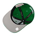 Бейсболка MITCHELL NESS арт. HHSS4225-BCEYYPPPGREN Boston Celtics NBA (зеленый)