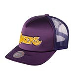 Бейсболка MITCHELL NESS арт. HHSS3467-LALYYPPPPURP Los Angeles Lakers NBA (фиолетовый)