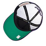 Бейсболка MITCHELL NESS арт. HHSS3467-TRAYYPPPPURP Toronto Raptors NBA (фиолетовый)