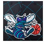 Бейсболка MITCHELL NESS арт. HHSS1212-CHOYYPPPBLCK Charlotte Hornets NBA (черный)