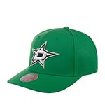 Бейсболка MITCHELL NESS арт. HHSS5370-DSTYYPPPGREN Dallas Stars NHL (зеленый)