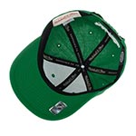 Бейсболка MITCHELL NESS арт. HHSS5370-DSTYYPPPGREN Dallas Stars NHL (зеленый)