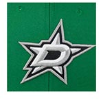 Бейсболка MITCHELL NESS арт. HHSS5370-DSTYYPPPGREN Dallas Stars NHL (зеленый)