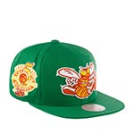Бейсболка MITCHELL NESS арт. 6HSSSH21296-CHOGREN Charlotte Hornets NBA (зеленый)